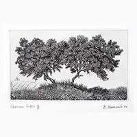 Iberian Trees by Brian Hanscomb